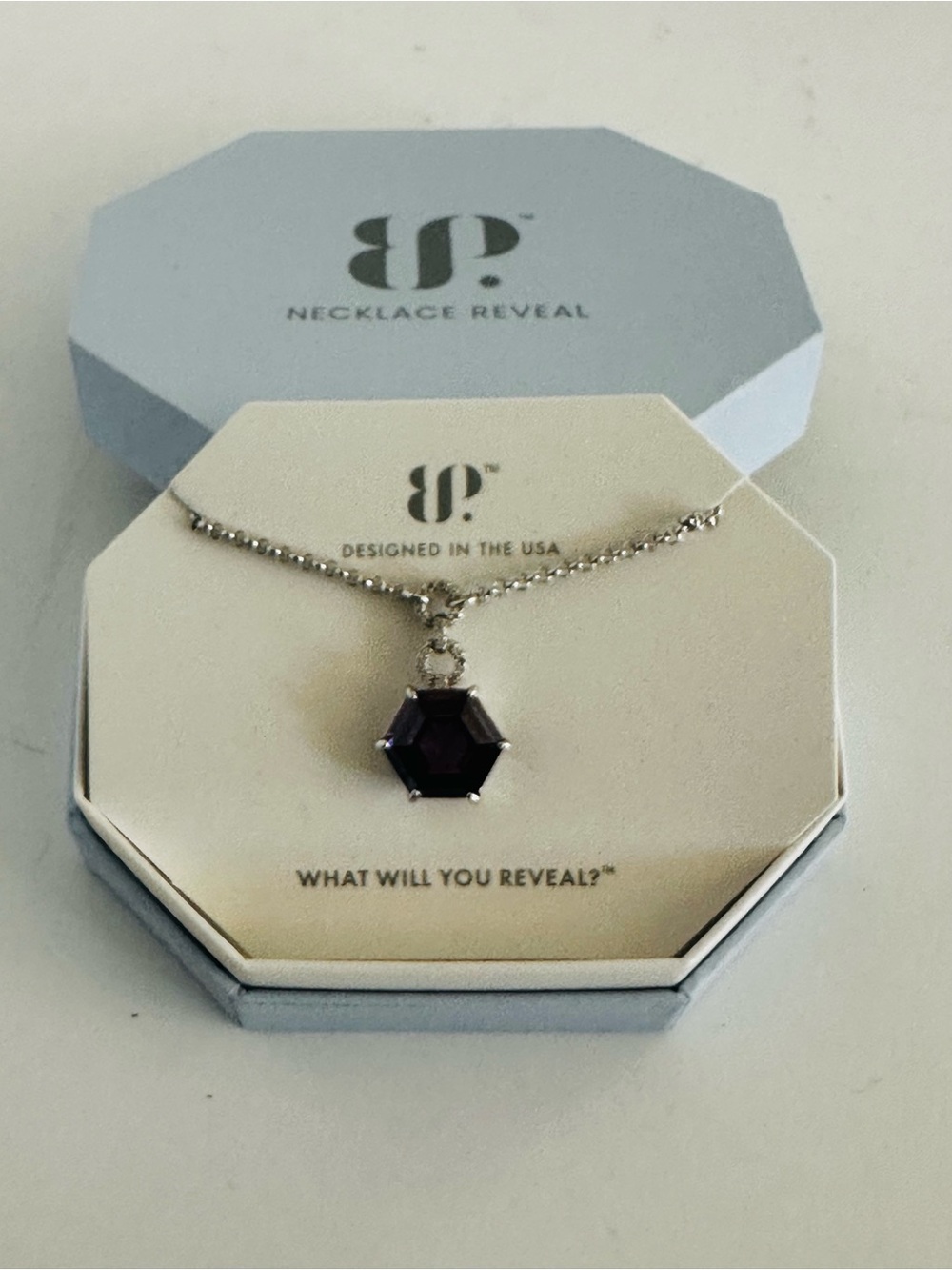 NIB Bomb Party “Held Intent” necklace 18”+ 2.5” extender NK64831